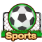 sport icon